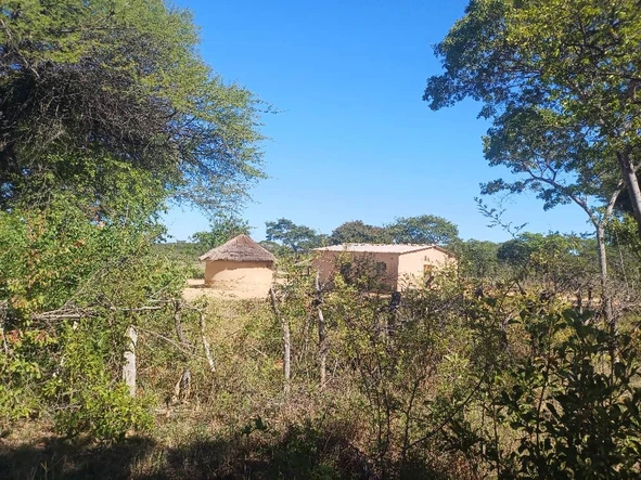 Farm & Agricultural Land