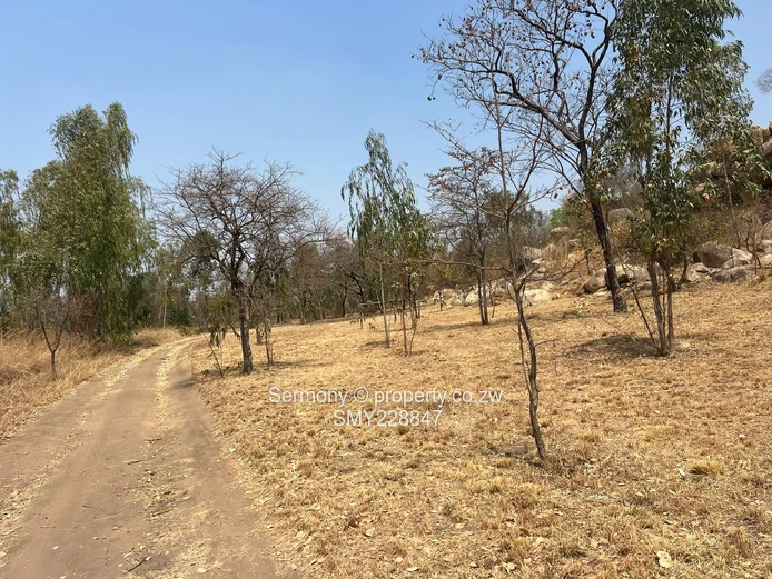 Plot for sale