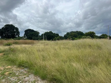 Residential stand for sale