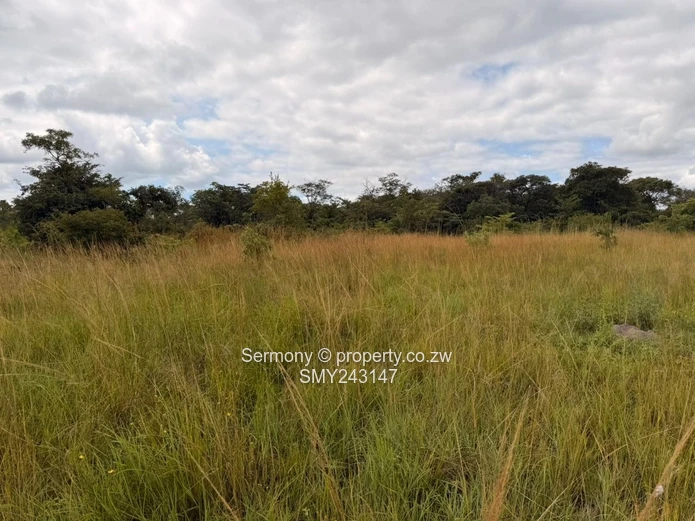 Plots for sale in Chegutu 