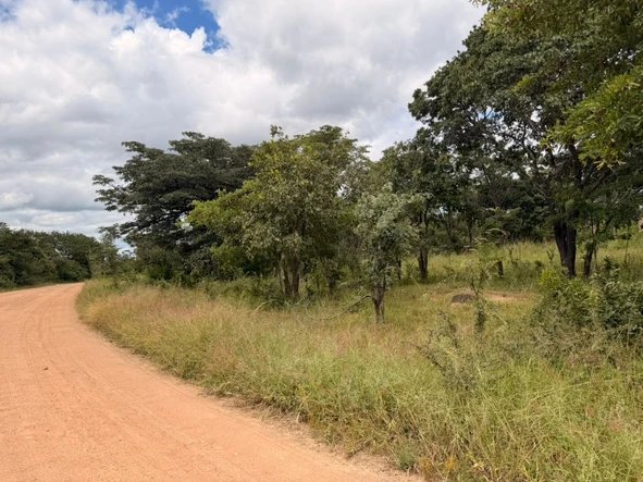 Farm & Agricultural Land