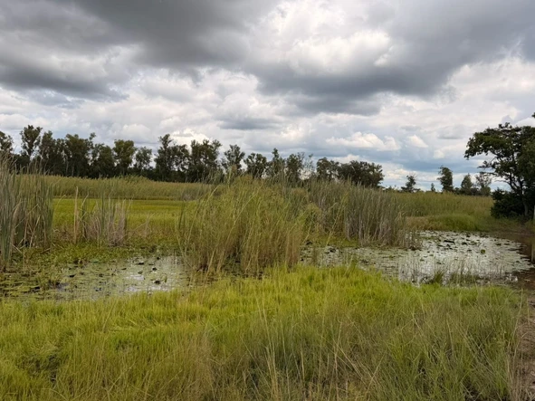 Farm & Agricultural Land