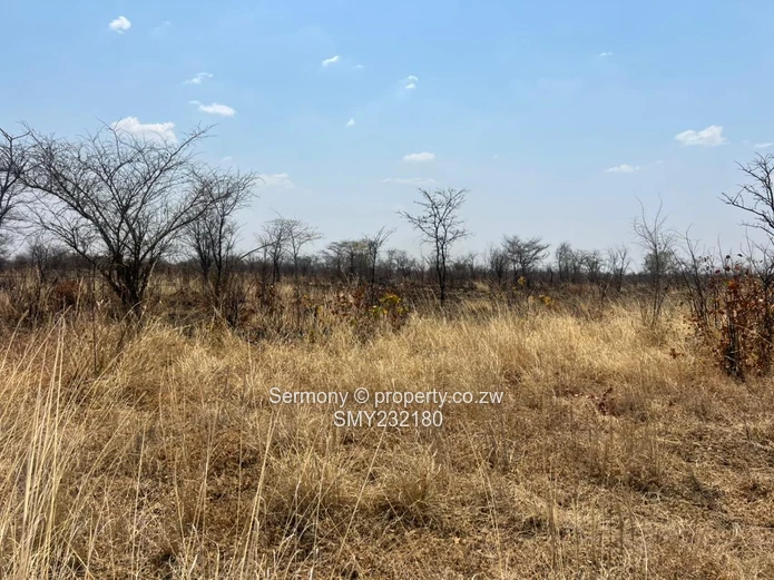 Agricultural farm for sale