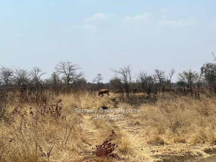 Agricultural farm for sale