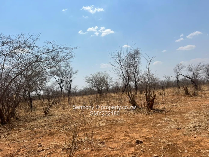 Agricultural farm for sale