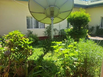Farm & Agricultural Land