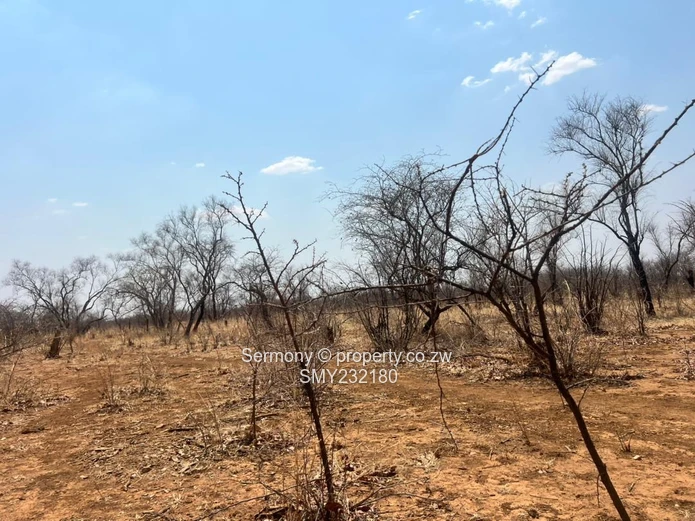 Agricultural farm for sale