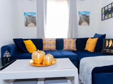 Flat & Apartment