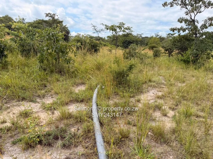 Plots for sale in Chegutu 