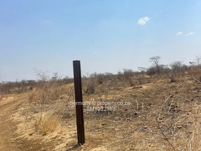 Agricultural farm for sale