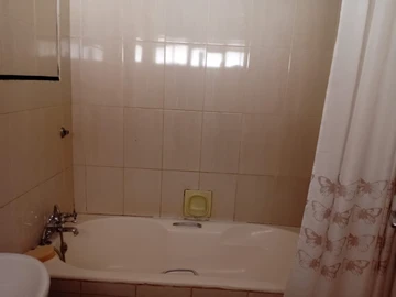 Flat & Apartment