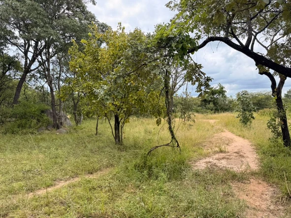 Farm & Agricultural Land
