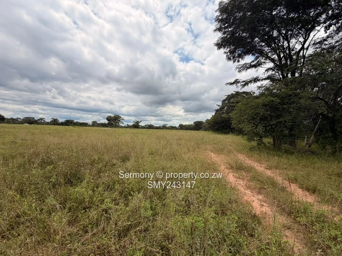 Plots for sale in Chegutu 