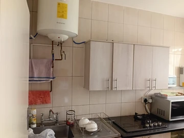 Flat & Apartment