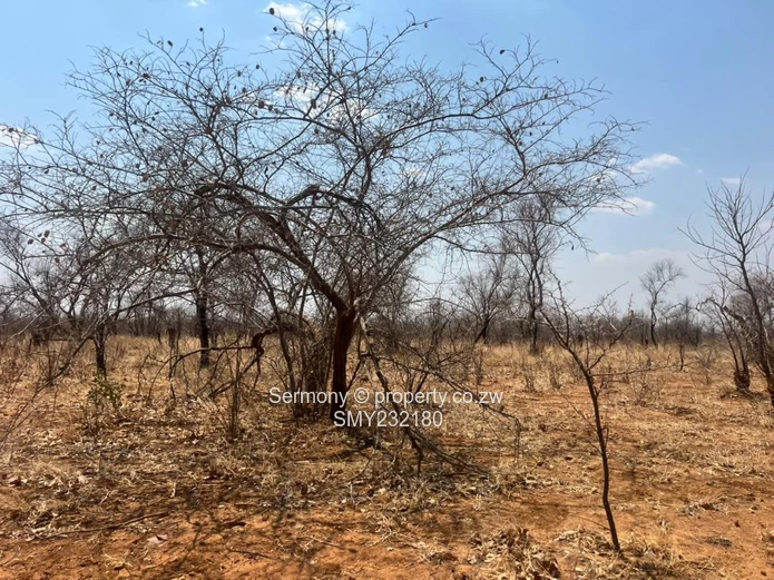 Agricultural farm for sale