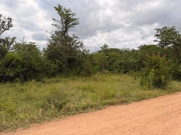 Farm & Agricultural Land