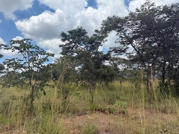 Farm & Agricultural Land
