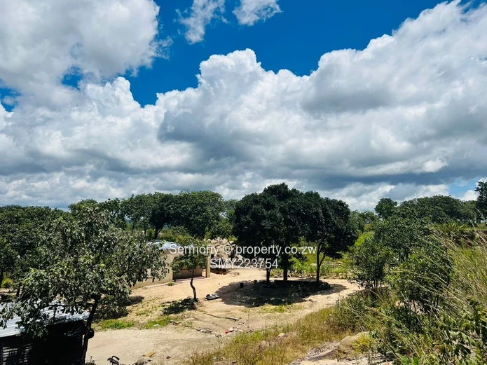 Residential Stands For Sale