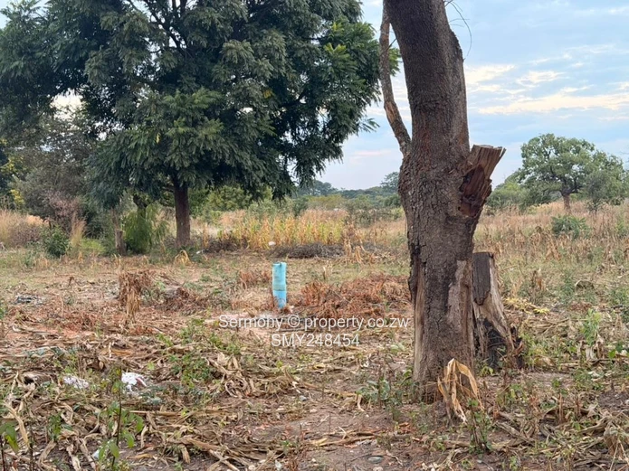 Ideal For Clusters 2.45 Hectares Land For Sale