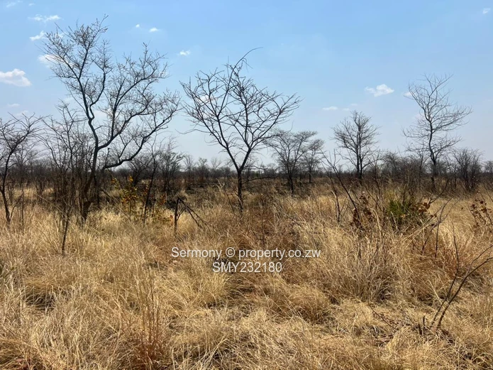 Agricultural farm for sale
