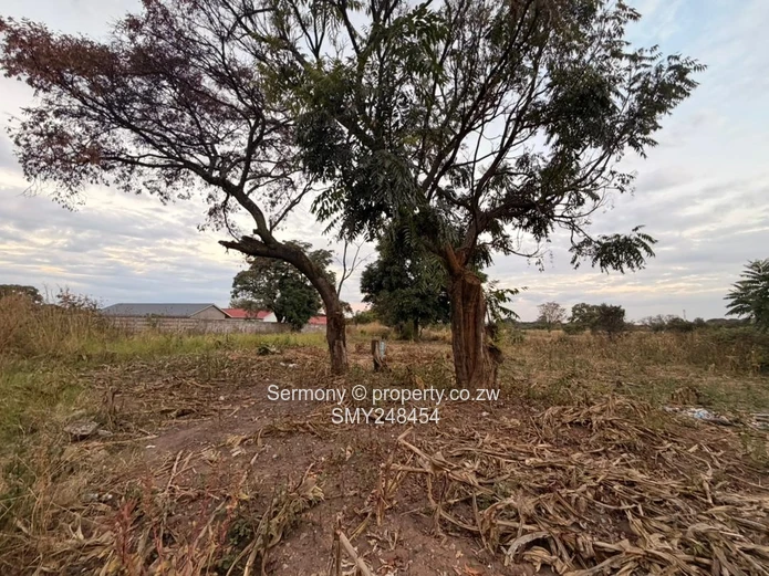 Ideal For Clusters 2.45 Hectares Land For Sale
