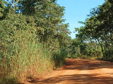 Farm & Agricultural Land