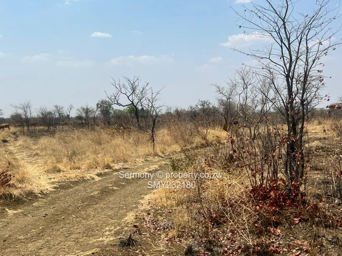 Agricultural farm for sale