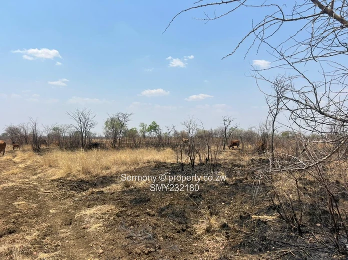 Agricultural farm for sale