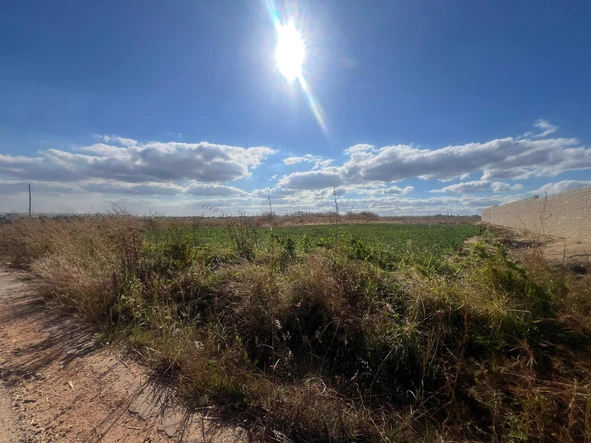 Commercial & Industrial Land