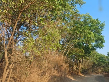 Farm & Agricultural Land