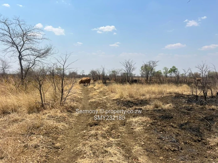 Agricultural farm for sale