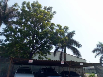 Warehouse & Factory