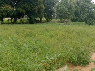 Farm & Agricultural Land