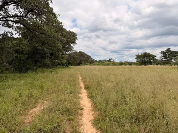 Farm & Agricultural Land