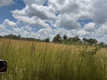 Farm & Agricultural Land