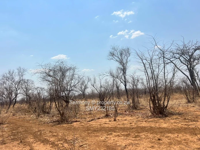 Agricultural farm for sale