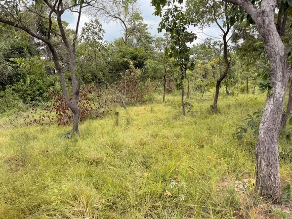 Farm & Agricultural Land