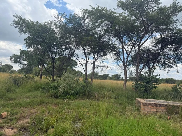 Farm & Agricultural Land