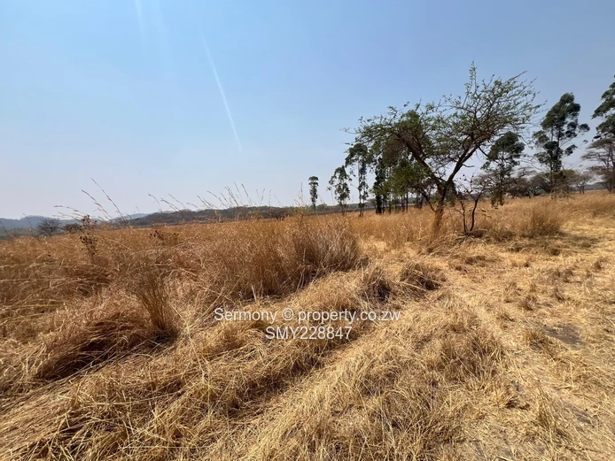 Plot for sale