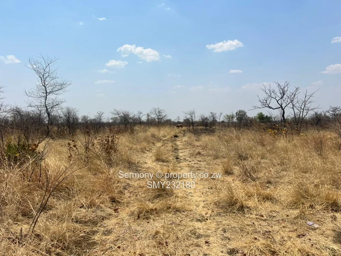Agricultural farm for sale