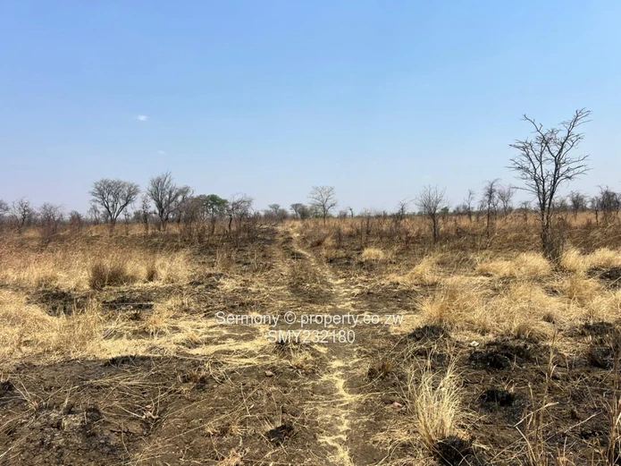 Agricultural farm for sale
