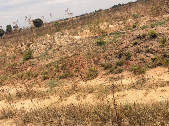 Stands & Residential Land
