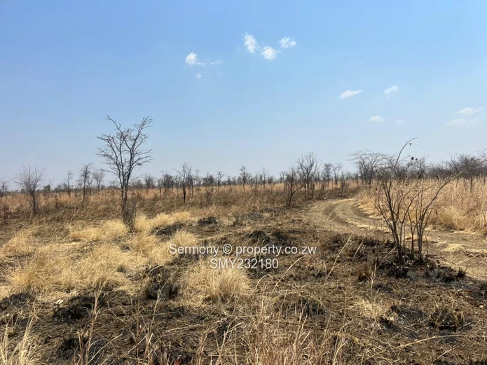Agricultural farm for sale
